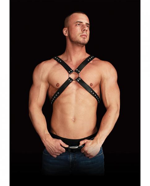 Adonis High Chest Halter Black Leather O/S