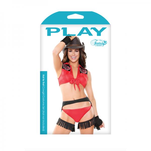 Hot To Trot Cowgirl Costume Set; Cowgirl; Tie Top, Fringe Chaps, And Panty