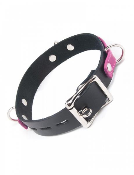 Joanna Angel Locking Buckle Collar Pink Black