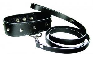 Leather Leash &amp; Collar Set